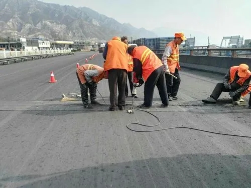 清丰道路桥梁病害治理